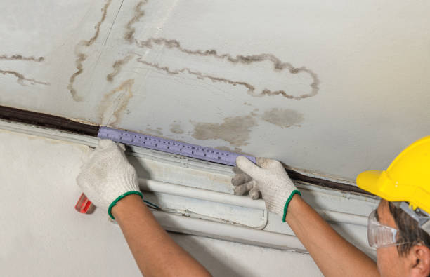 Reliable Water Damage contractor in Wheeler, TX by Water Damage Irwin